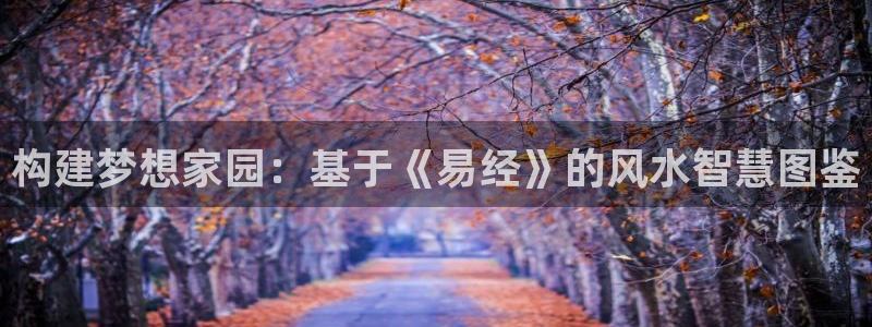 先锋娱乐管理集团怎么样：构建梦想家园：基于《易经》的风水智慧图鉴