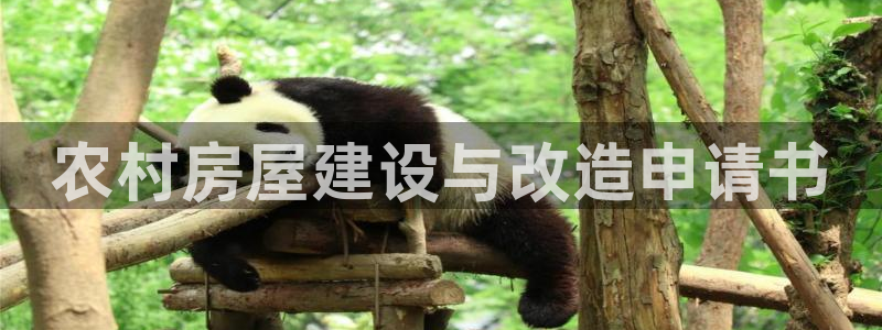 先锋娱乐理财logo：农村房屋建设与改造申请书