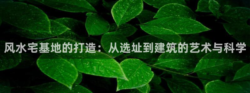 先锋娱乐游戏上分：风水宅基地的打造：从选址到建筑的艺术与科学