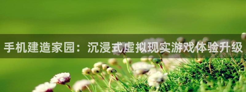 娱乐急先锋李诞甄子丹：手机建造家园：沉浸式虚拟现实游戏体验升级