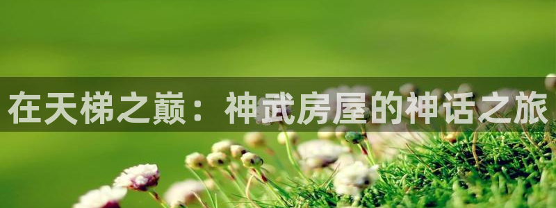 先锋娱乐游戏上分地址