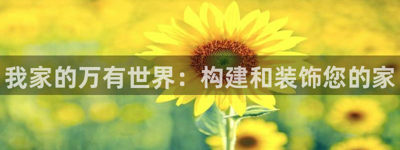 先锋澳门新娱乐：我家的万有世界：构建和装饰您的家