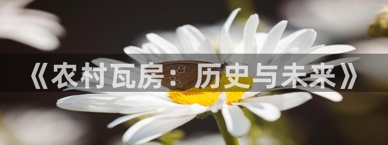先锋娱乐体育