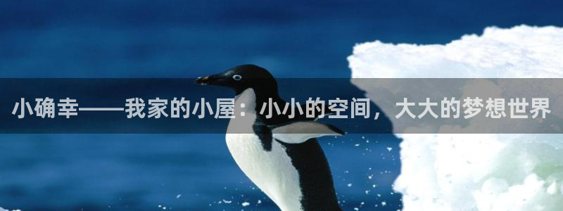 先锋娱乐公司