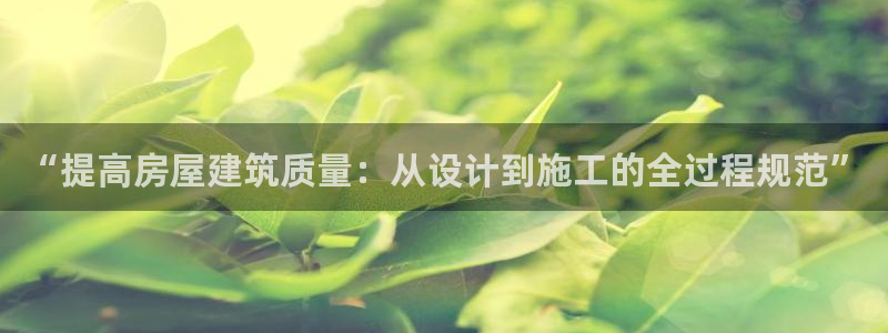 先锋娱乐垫付金额：“提高房屋建筑质量：从设计到施工的全过程规范”