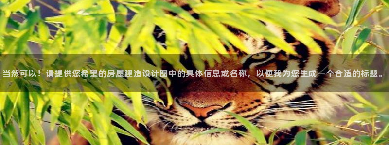 先锋娱乐资讯