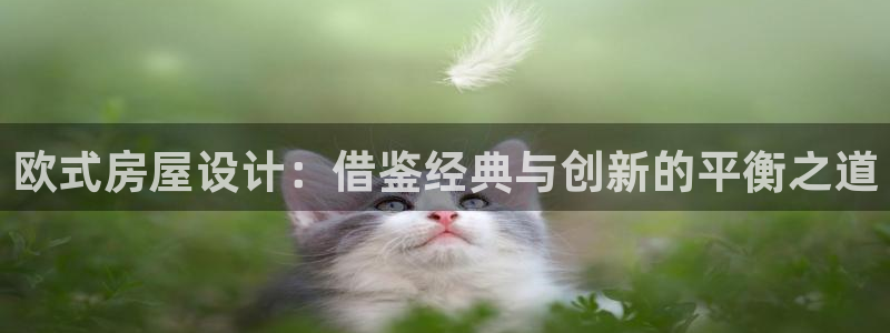 先锋娱乐管理集团招聘：欧式房屋设计：借鉴经典与创新的平衡之道