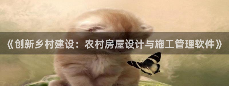 娱乐急先锋全集下载：《创新乡村建设：农村房屋设计与施工管理软件》