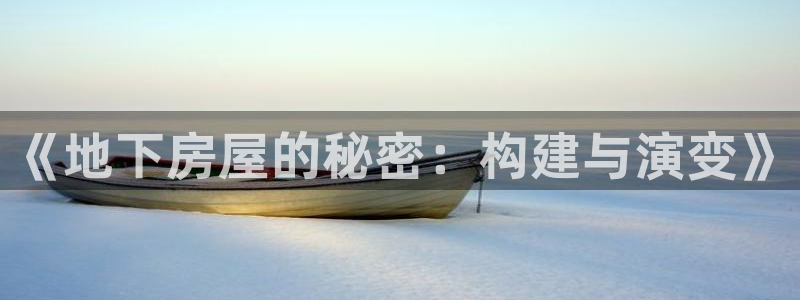 先锋娱乐游戏软件：《地下房屋的秘密：构建与演变》